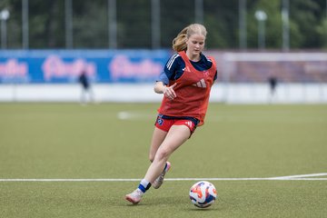 Bild 161 - wBJ Hamburger SV - FC Suederelbe : Ergebnis: 9:0
